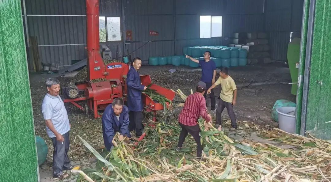 省委(wei)組織部(bu)登載金控集(ji)團(tuán)派駐金華村第一(yi)書記事迹材(cai)料